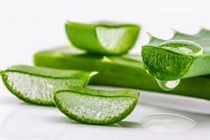 aloe za zdravljenje prostatitisa