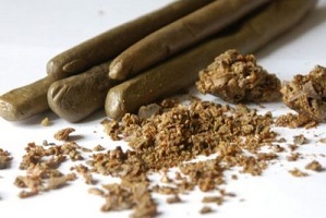 propolis svečke za zdravljenje prostatitisa