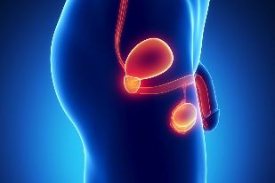 Vnetje prostate